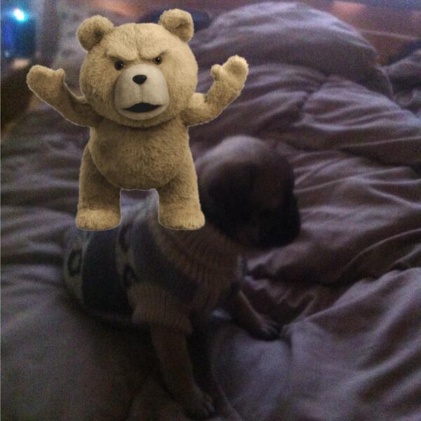 dAnYtAsSs's tweet photo. Check out My Wild Night With Ted for iPhone! ht http://t.co/82kc42M188