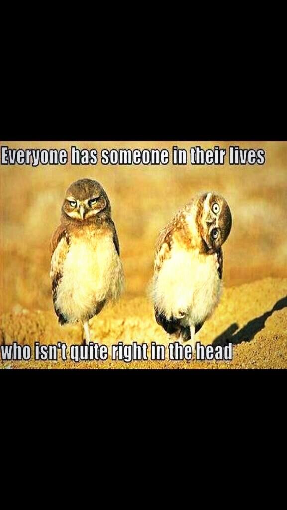 rickyyyyyyyyy!!!! tweet media