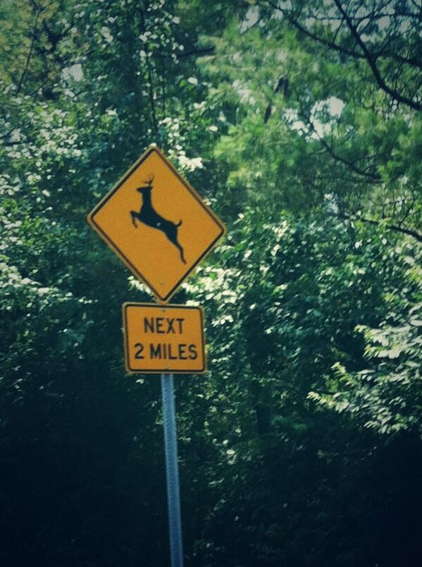 Randy_13's tweet photo. Lol...... Y do I see this sign all the time but don't see a deer..........
Come on ppl I want to see a dammm deer http://t.co/6RK8Hzt1z9