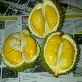 ajar jamak (@ajarbranded) on Twitter photo 