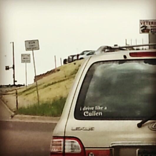 For those who want their car to say both "I have bad taste in books" AND "I'm a terrible driver." #fuckingtwilight
