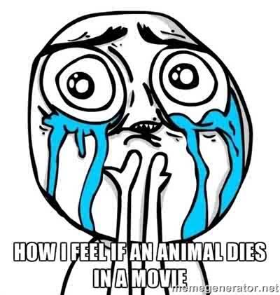 Kay05Allaway's tweet photo. *in this situation* @Jess_vd_Merwe - "Kay, don't look :|" ;) http://t.co/dmUU7AmeQb