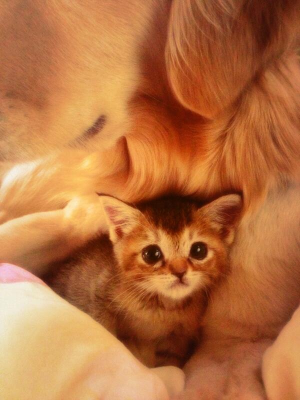 おはようございます！