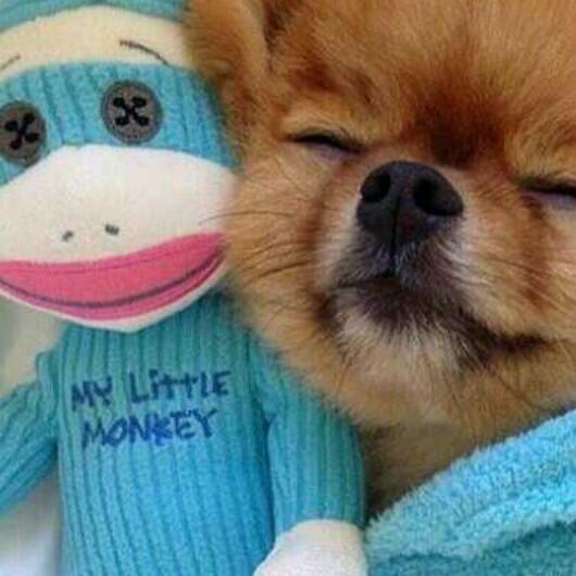 sevimx2003's tweet image. 