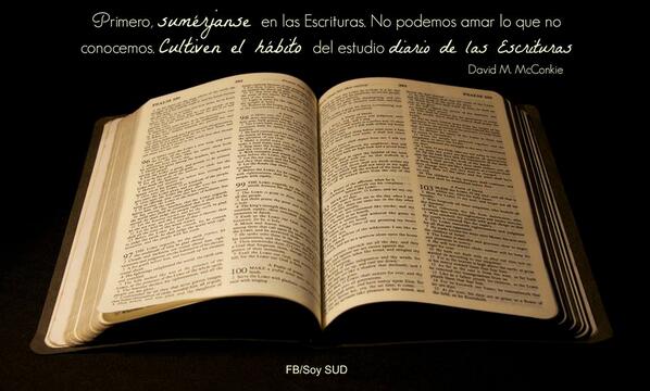 Reflexión SUD tweet media