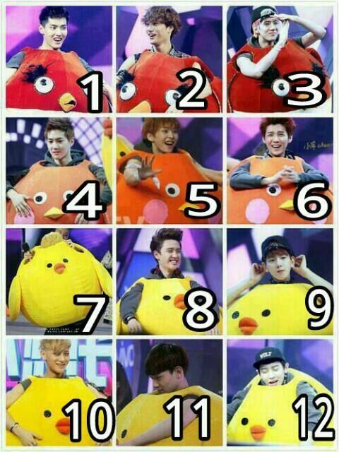yeoahra's tweet photo. 1 sama 12"@siwcah: 3 "@chorawr: 8ofc RT @SicaGG9: 8 hahah "@exoshikshin: pilih yang mana? [sembilan plis wks] http://t.co/JCjZy161hI"”"""