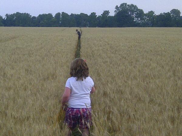 Checking wheat fields.  Still a few days away.
