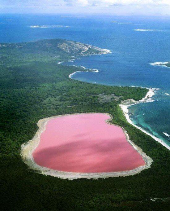 UberFacts's tweet photo. Lake Hillier in Australia is a bright pink color and scientists aren't sure why. http://t.co/vF55q9IaN6