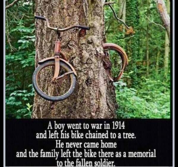 angry_vet_'s tweet photo. 😔 http://t.co/ubu7KFoHyr