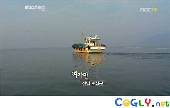 ipsaips's tweet photo. 여자만 http://t.co/f10h6LclDS