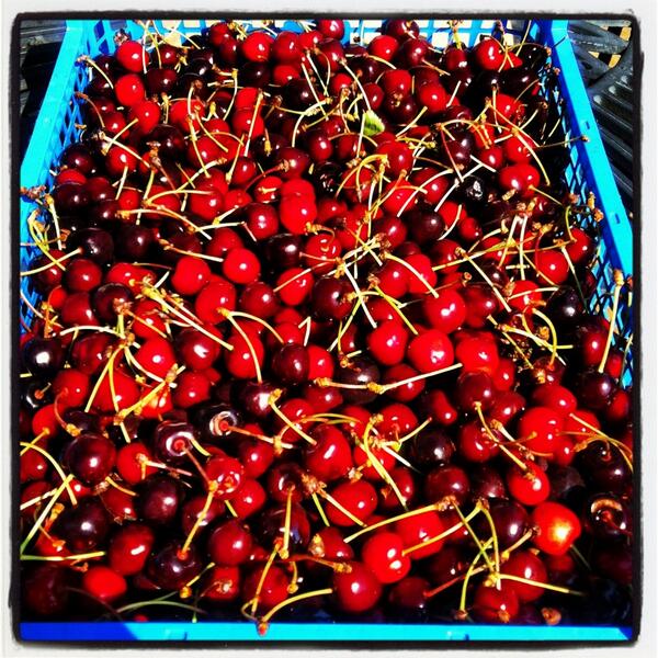 ColliersFarmShop tweet media