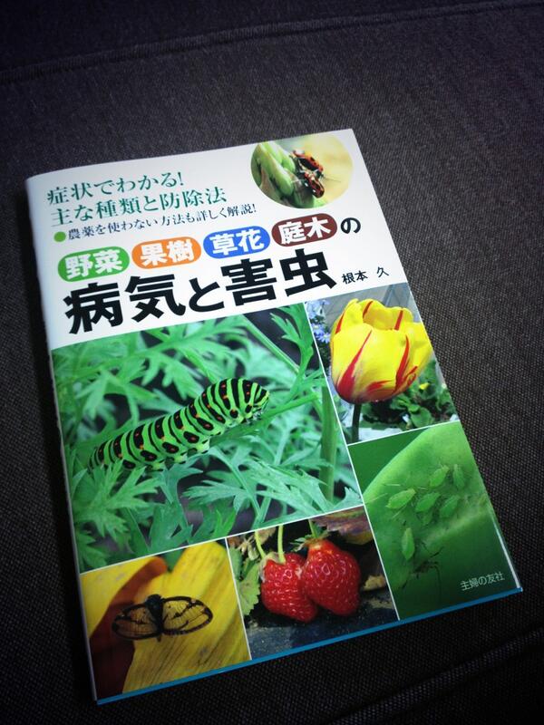 石井栄徳 野菜 果樹 草花 庭木の病気と害虫 って本を買ってみたら 写真が満載でわかりやすくて面白い うちのきゅうり がうどんこ病なのかべと病なのかわからんけど とりあえず重曹を使って様子見してみる Http T Co 9yyvtkvmpj 石井栄徳 野菜 果樹 草花 庭木の病気と害虫 って本を買ってみたら 写真が満載でわかりやすくて面白い うちのきゅうり がうどんこ病なのかべと病なのかわからんけど とりあえず重曹を使って様子見してみる Http T Co 9yyvtkvmpj