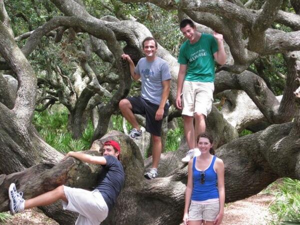 GARoadTrip's tweet image. Help us go back &amp;amp; climb the crooked oaks at Cumberland Island! $10 gets you a copy of the film kickstarter.com/projects/crook…