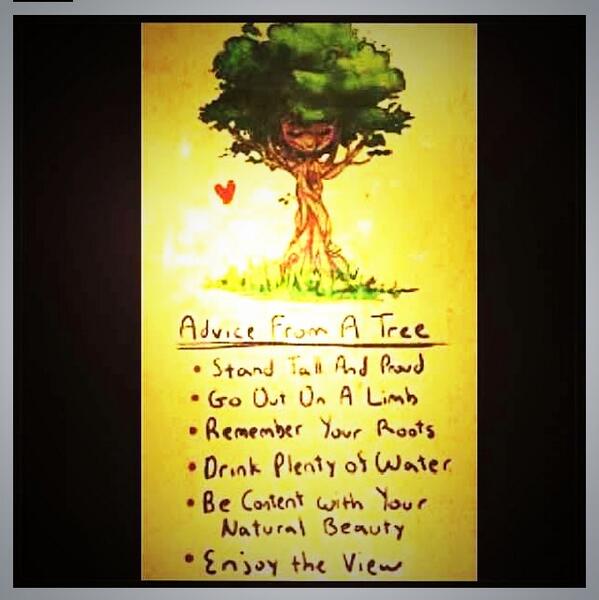 Kelly Lady K (@mcladyk) on Twitter photo 