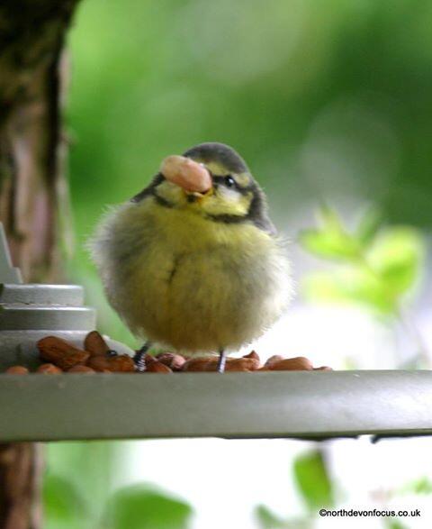 YaphamCottages's tweet photo. Cute picture posted by #NorthDevonCoastCountryChronicle
http://t.co/w6vwuIAhIG http://t.co/yHJZysOGe8