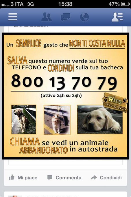 Condividete x favore! @justine_mattera @JustElisabetta @GraGrazer @ShineMatrioska @sunnyGirl79 @MadameLapine1<a class="tags" target="_blank" title="On Twitter" href="/?out=eyJ0eXAiOiJKV1QiLCJhbGciOiJIUzUxMiJ9.eyJpYXQiOjE3MjA4Njg3NTYsImlzcyI6InR3cG9ybnN0YXJzLmNvbSIsIm5iZiI6MTcyMDg2ODc1NiwiZXhwIjoxNzUyNDA0NzU2LCJyZWRpcmVjdF91cmwiOiJodHRwczovL3R3aXR0ZXIuY29tL2p1c3RpbmVfbWF0dGVyYSJ9.BOrHw5SyuQbm0T-WrmCwJSXt6uvjknhCKYpW_7osKD0oBZQypl7BLbuHmH7w4-4VZcMf5LTsKtm-y03_8ofKpw">@justine_mattera</a><a class="tags" target="_blank" title="On Twitter" href="/?out=eyJ0eXAiOiJKV1QiLCJhbGciOiJIUzUxMiJ9.eyJpYXQiOjE3MjA4Njg3NTYsImlzcyI6InR3cG9ybnN0YXJzLmNvbSIsIm5iZiI6MTcyMDg2ODc1NiwiZXhwIjoxNzUyNDA0NzU2LCJyZWRpcmVjdF91cmwiOiJodHRwczovL3R3aXR0ZXIuY29tL0p1c3RFbGlzYWJldHRhIn0.udBmlXb2SlDA3ioY6OJCzCE-ctyBb7VKOdSLo2ysTqeVhd0qyt0ESHnzAkJsCVlHHMOdb9S-eHOrMkg7Hd2FrQ">@JustElisabetta</a><a href="/tag/lacollina"class="tags"><span>#lacollina</span></a>