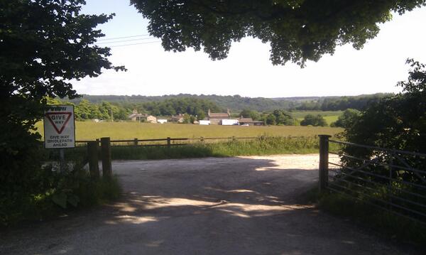 ian sutch tweet media