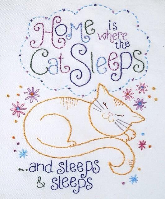 MoreCats_'s tweet photo. I wish I was a cat. #MoreCats http://t.co/x310CBy0zc