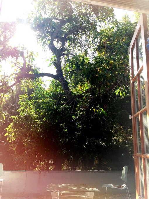 What I am grateful for:  the view from my bathroom French doors... http://t.co/grZQiHSov3<a href="/tag/avengers"class="tags"><span>#avengers</span></a>