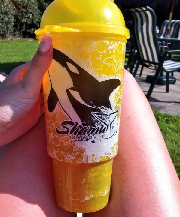 RhianneDillon's tweet image. This is just like bein in Florida babes,sun shinning n the Shamu cup going flat out! #JustMissingYou ☀🐳🙊 @R_Redman1