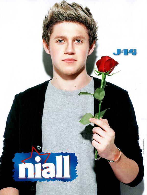 Bezpośredni odnośnik do obrazka