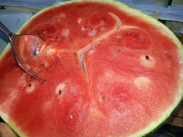 eddonner's tweet photo. Chopped in half and dig in http://t.co/zxr77dqzUO