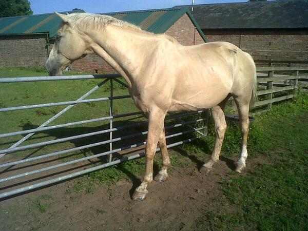 chloe_d123's tweet image. Looking good! #finally #timeworks #beautifulboy #beast