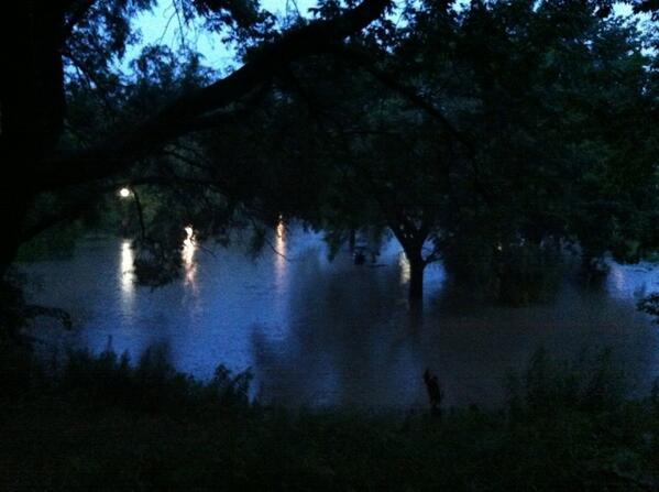 Trinity Bellwoods Park tweet media