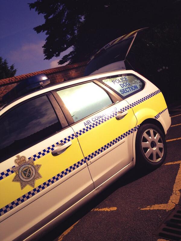 We spoil our dogs with air conditioning. If you're out with your pooch today, please don't lock them away in a car.