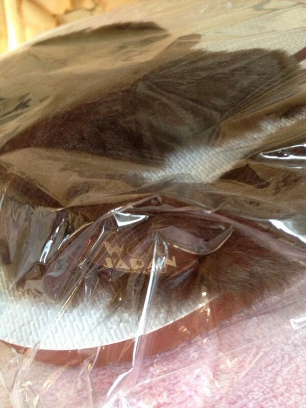 kumatan41's tweet photo. おやすみしあわせ(๑¯◡¯๑)お家探しついでにお買い物して帰宅〜♪届いてた〜♪新宿は諦めよう↓少しずつ節約やー http://t.co/0bxd3HbFnP