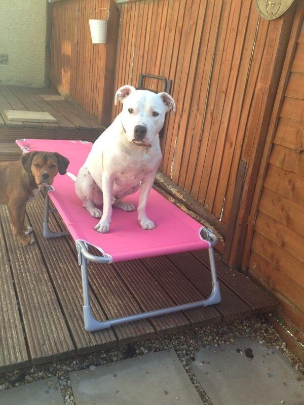 HubStaffy's tweet photo. @OzandMrCurious http://t.co/yk6bqbcL5w