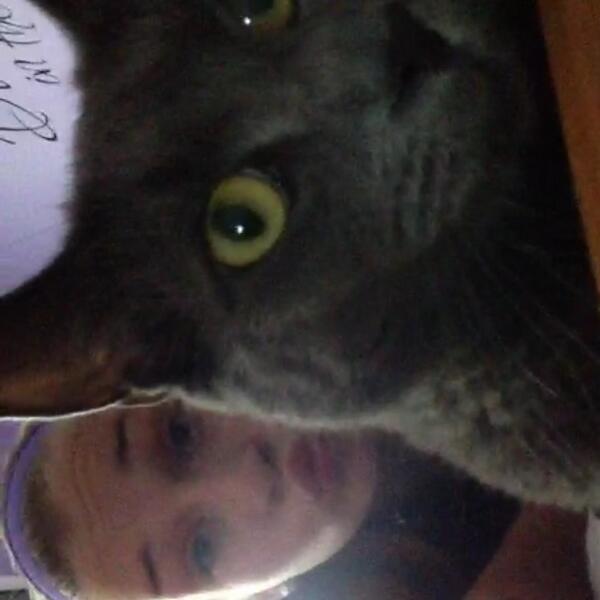 catnipaddict07's tweet image. happy birthday to my fav😻 @j_malvarosaa