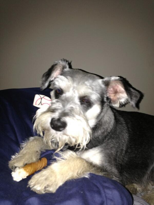 nickhuckaby's tweet photo. Happy birthday to Gwynn!!! http://t.co/pNmHEY8Dl2