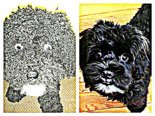 DesignerDogsArt's tweet image. Finished the changes on Blake, Hoda's dog. Take a look.