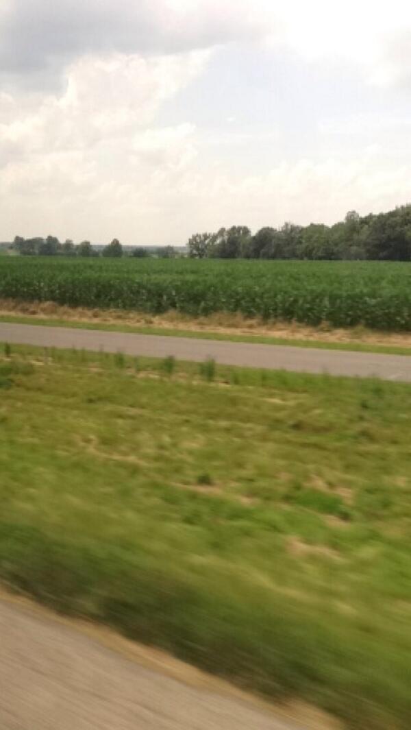 ashhkoehler's tweet image. My view for the past 11 hours #cornfieldsoncornfields #akbar