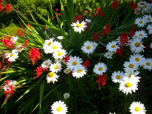 HealthP2's tweet image. The beauty of Summer is here. Be sure to pause and Enjoy!