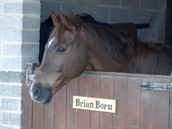 Cullinghood_EC's tweet photo. Brian #cullinghoodhorses http://t.co/F5KxOfXFiZ