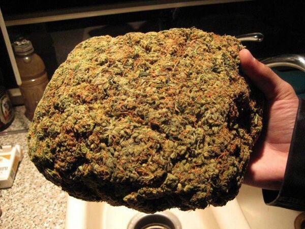 Frasesdeundroga's tweet photo. ¿Apetece?. http://t.co/A0r0C51E5U