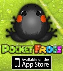 Kim Sutherland tweet media