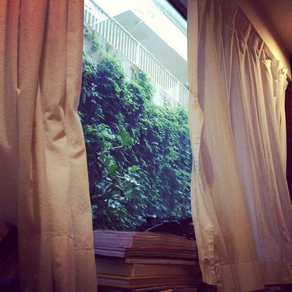 Declan Chan tweet media