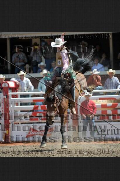 Chase_Keeley's tweet photo. Calgary stampede this year #biglightsbigcity http://t.co/V2AFBgpRQg