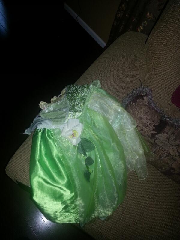 SprSayn_Ironman's tweet image. Who sends their daughter in the Disney princess dress!? #MyAunt #NothingButProblems