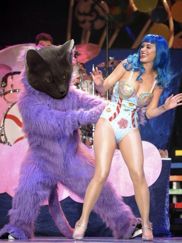 catnipaddict07's tweet image. Meow @katyperry remember that time we worked together ? #Purrr