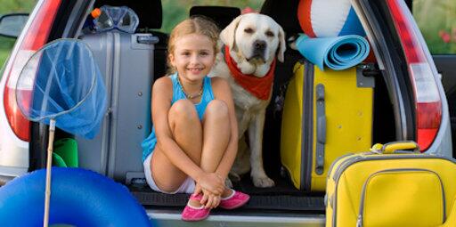 Lekker genieten!!
jumbopet.nl/nieuw/er-op-ui…