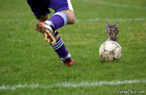 LOL_Footballing's tweet photo. Haha http://t.co/J6PKVth0Qj