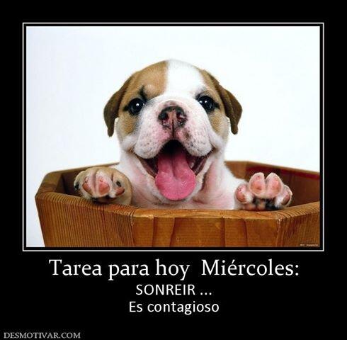 letras_enlinea tweet picture