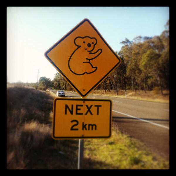 noahgkeeney's tweet image. “@MrOzAtheist: I'm guessing most of you fine folks don't have road signs like this.http://t.co/bC1yauWorl”not enough bullet holes for the US