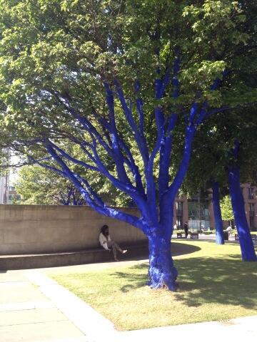 millds's tweet image. 🌳 #CoolTree #Blue