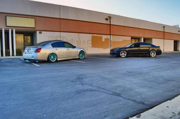 VQ_power's tweet photo. A couple of sexy sixes. #sixthgen #Nissan #Maxima http://t.co/7GRpzNtsRY