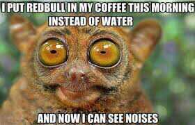 FF_Geelong's tweet photo. Have you ever felt like this ??? #tuesdaychuckle http://t.co/r2yAKs9x3X